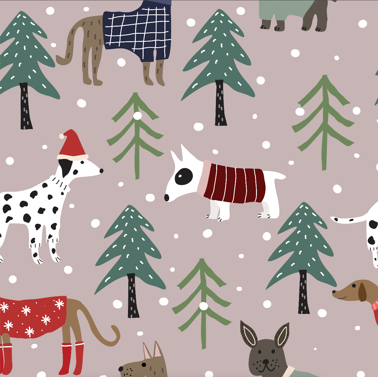 Reusable Gift Bag: Tiny