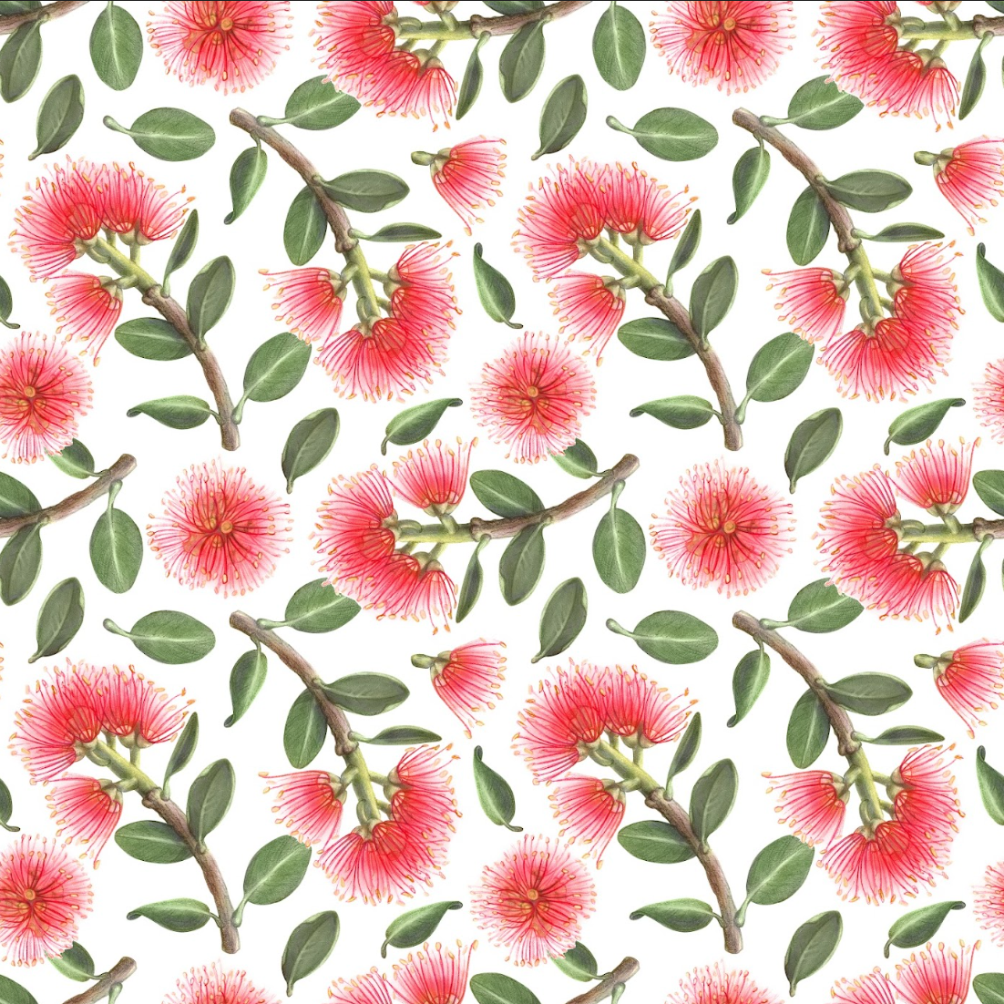 Pohutukawa (6 Reusable Cracker Sleeves)