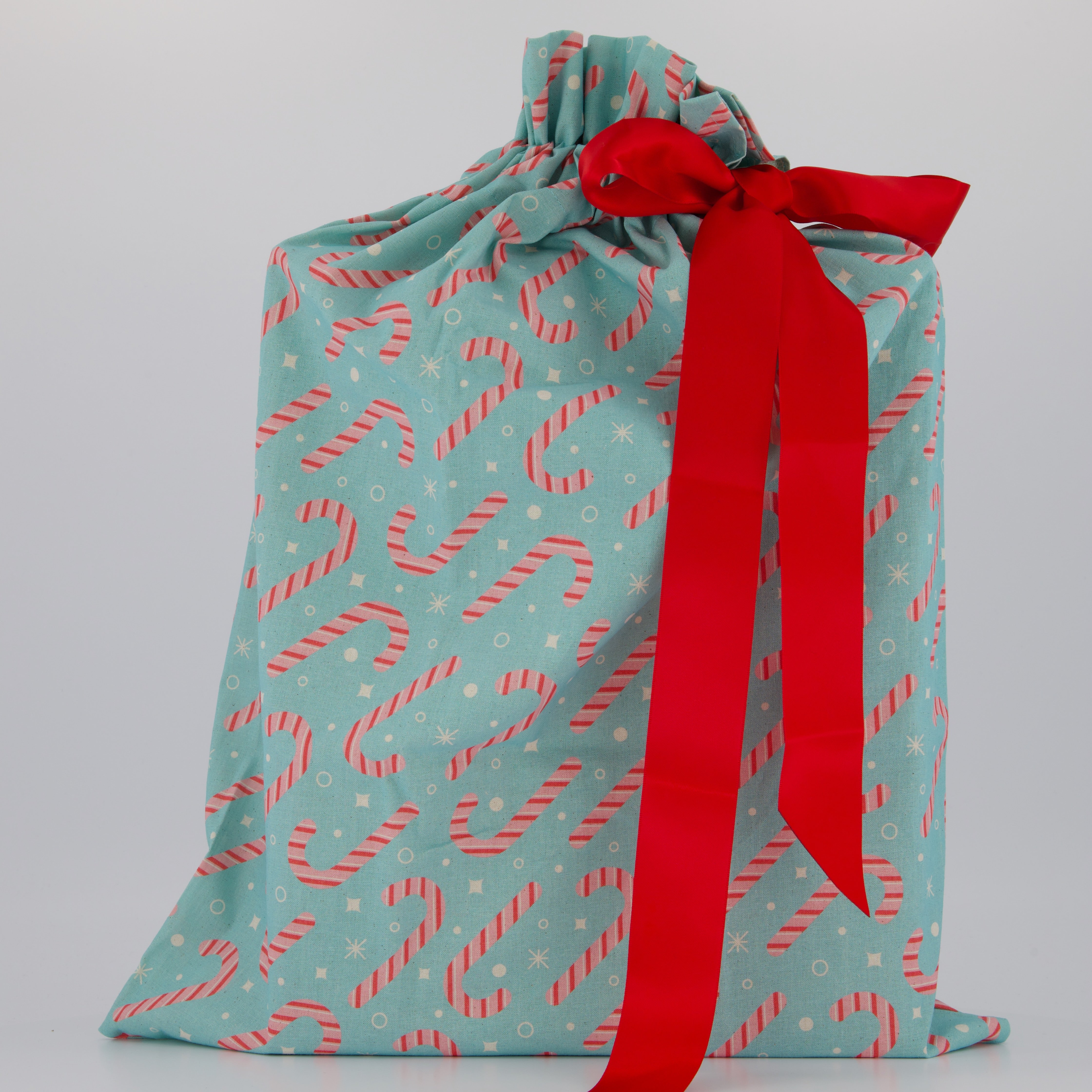 Single Reusable Gift Bags: Medium