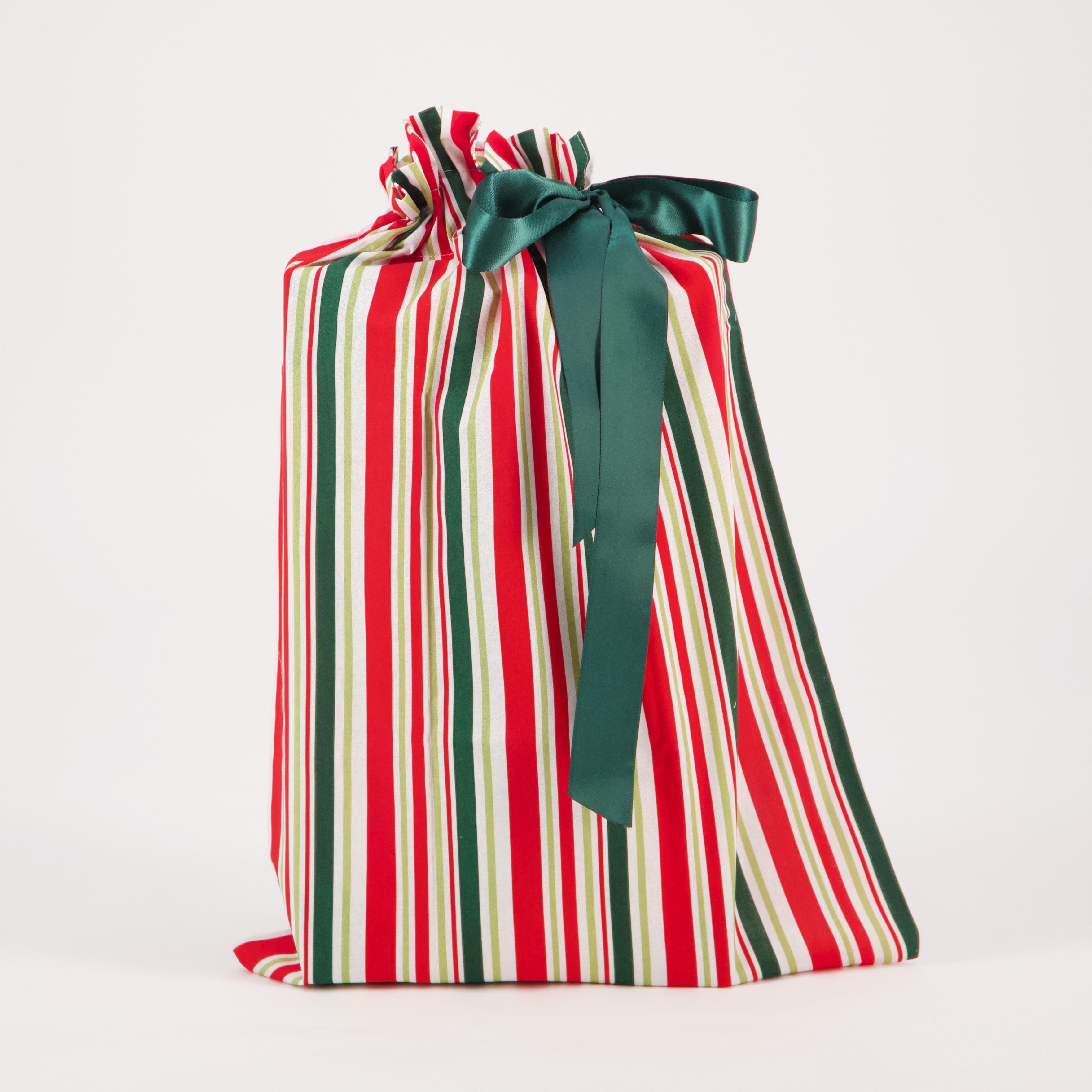 Reusable Gift Bag: Large