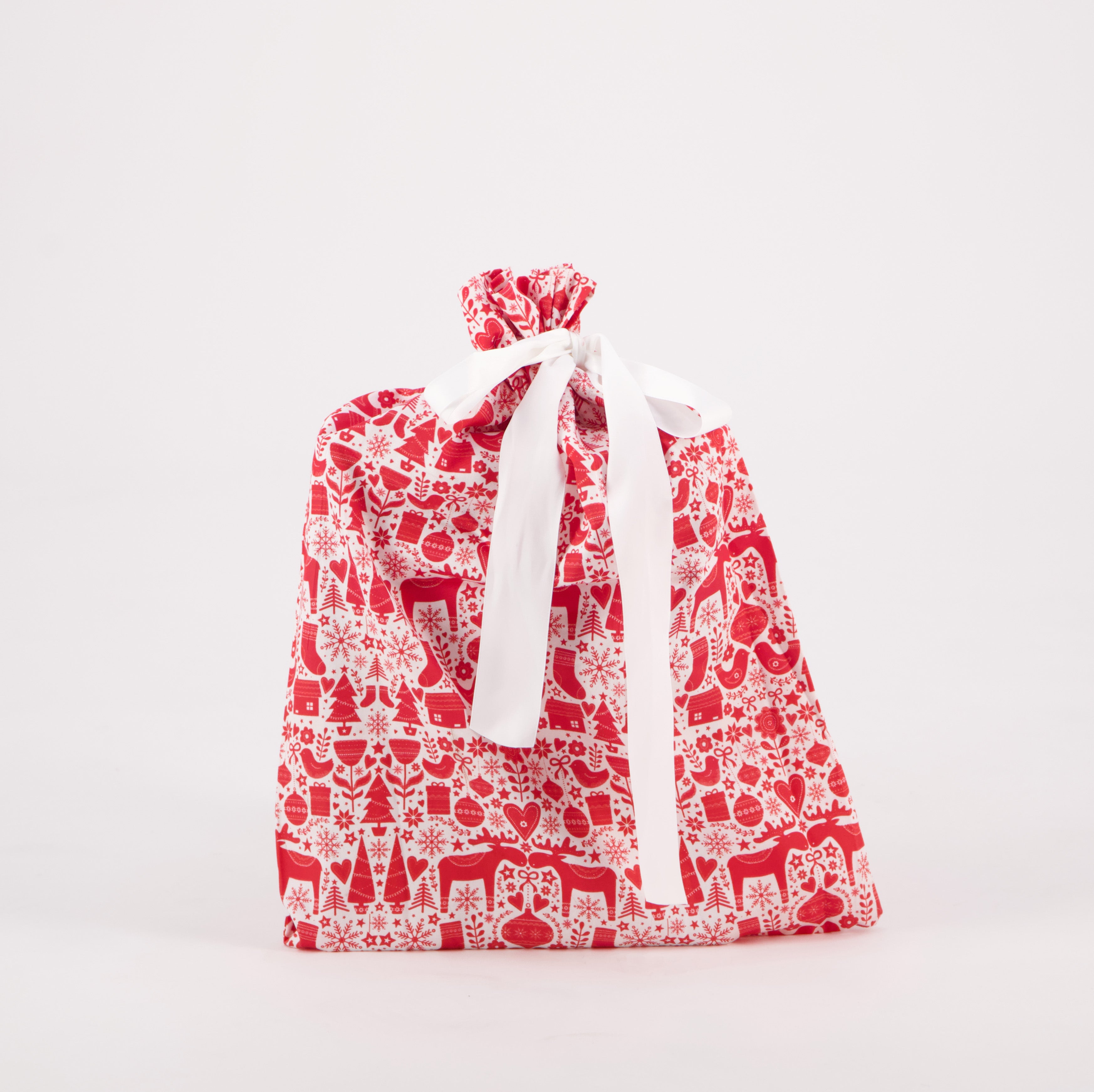 Reusable Gift Bag: Book