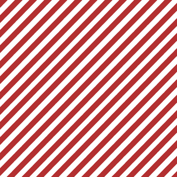 Candy Cane Reusable Gift Bags