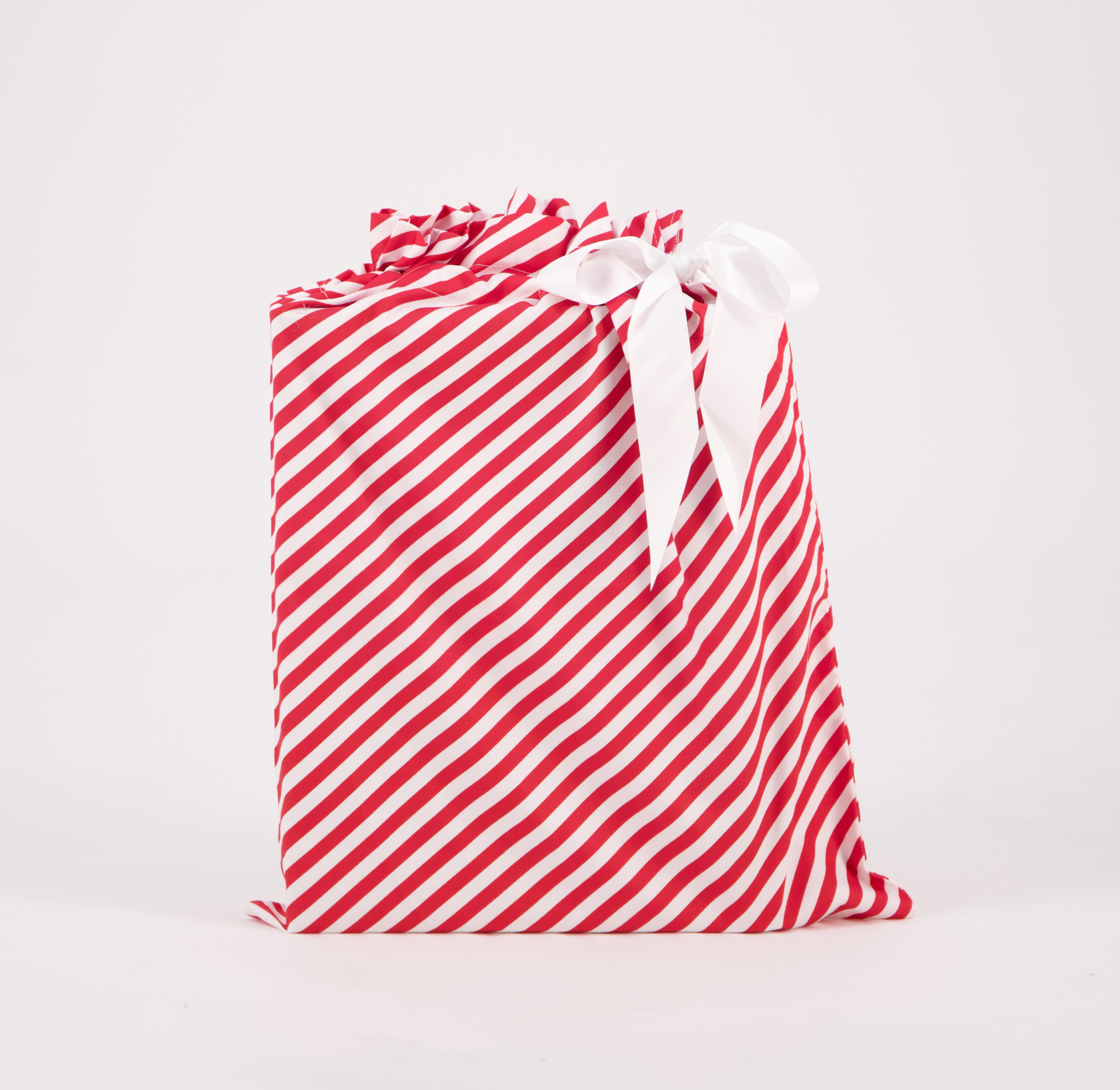 Reusable Gift Bag: Large