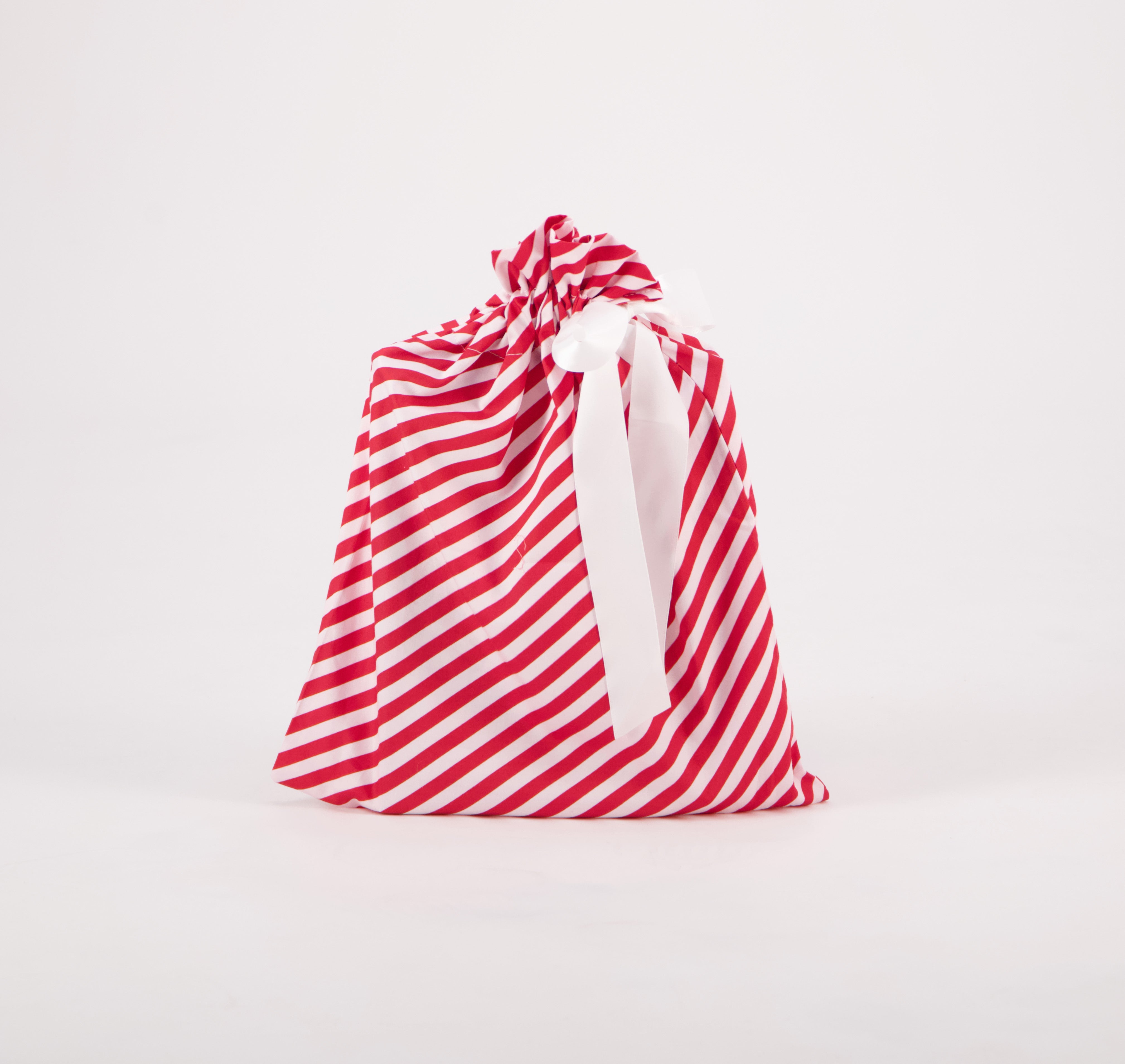 Reusable Gift Bag: Medium