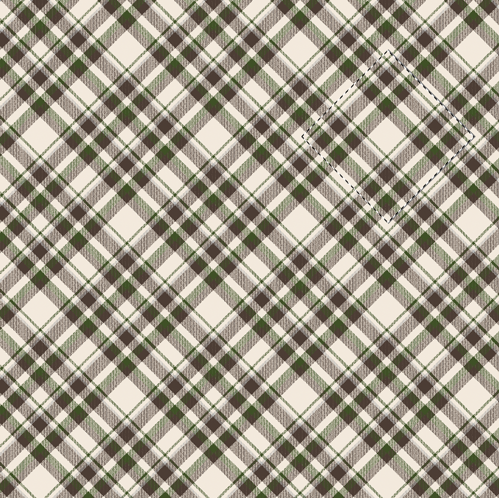 Nadarrach Tartan fabric swatch — classic tartan check in forest green, brown and cream