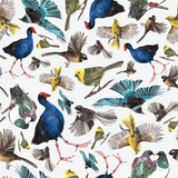 A swatch of the NZ birds design. The fabric has colourful images of native NZ birds on a white background.