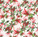 Fabric swatch features watercolour images of NZ native mistletoe in red and green on a white background.